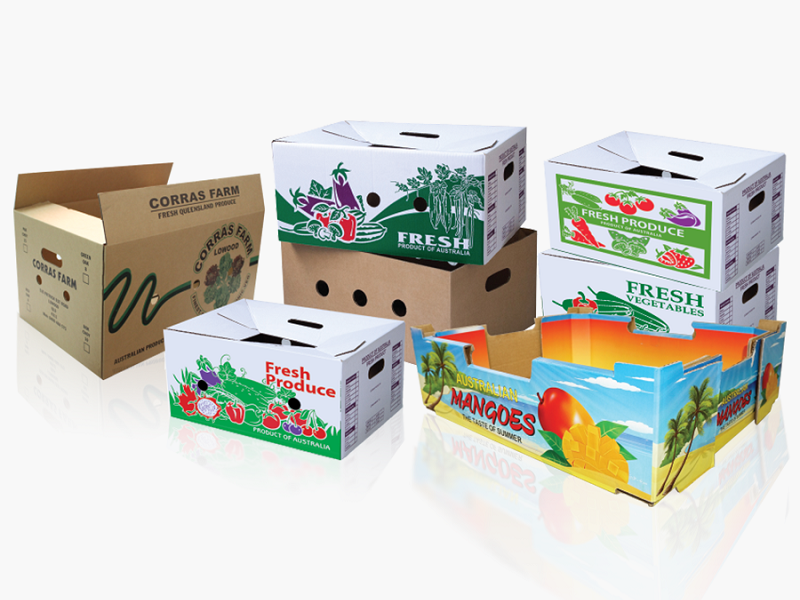 Tại sao nên sử dụng thùng carton đựng nông sản thay vì các loại bao bì khác